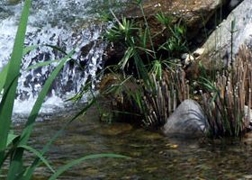 6. un oasi zen nella pianura lombarda