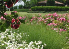 1. il giardino di un  vecchio mulino