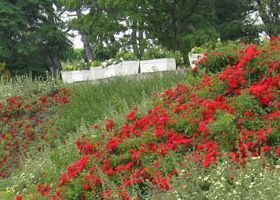 4. giardino sulle colline piemontesi