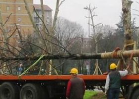 Da Ex fiera milano a Quartiere  Bonola Milano