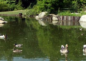 14. giardini acqua