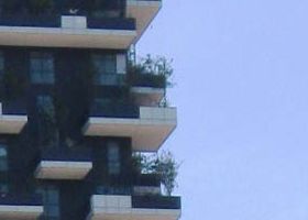 bosco verticale