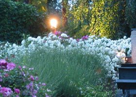 1. il giardino di un  vecchio mulino