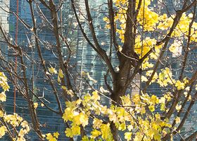 bosco verticale