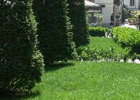 3. Serie Dialogo